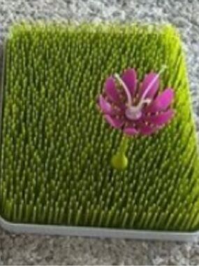 Boon bottle drying rack